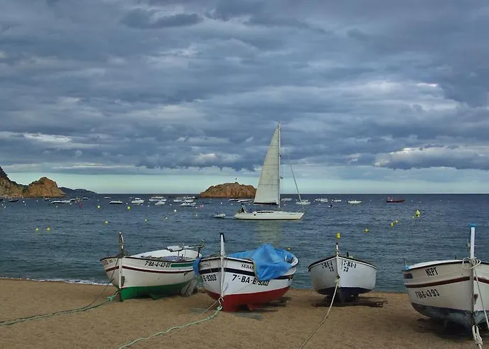 Lets Holidays Cozy 70 M. From The In Tossa Apartment Tossa de Mar